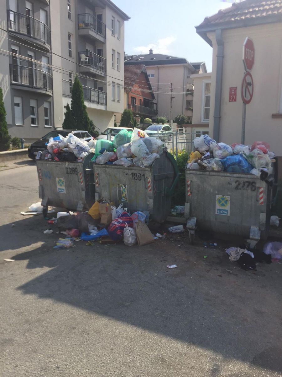 djubre-4