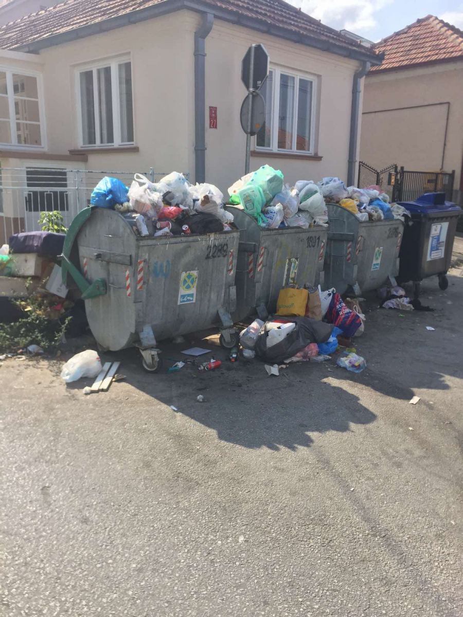 djubre2