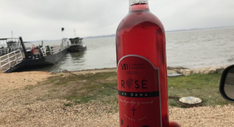 Hit priča: VINO 40 DANA- DIŽE IZ MRTVIH!