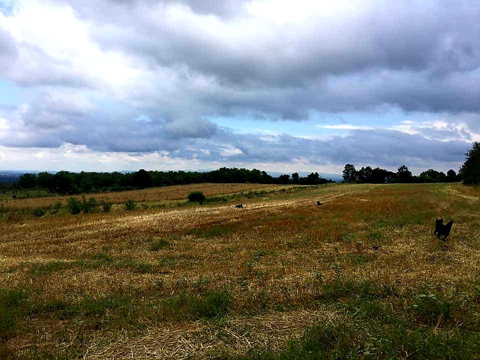 Selo Čumić kod Kragujevca