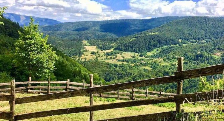 Posebne OBUKE za mlade u OBLASTI EKOLOGIJE. Održivi RAZVOJ Šumadije i Zapadne Srbije.