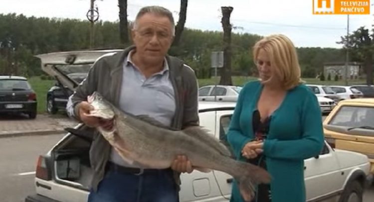 Uhvaćen najveći smuđ u Evropi!