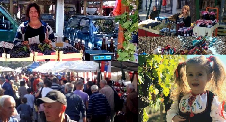 Koliko ljudi u Topoli gube što ne prodaju na „Oplenačkoj berbi“?