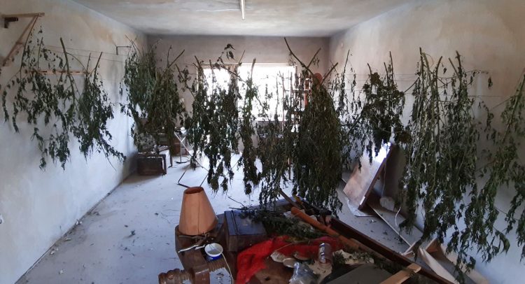 Uhapšena Mirjana V z Kragujevca sa 34 kilograma droge!