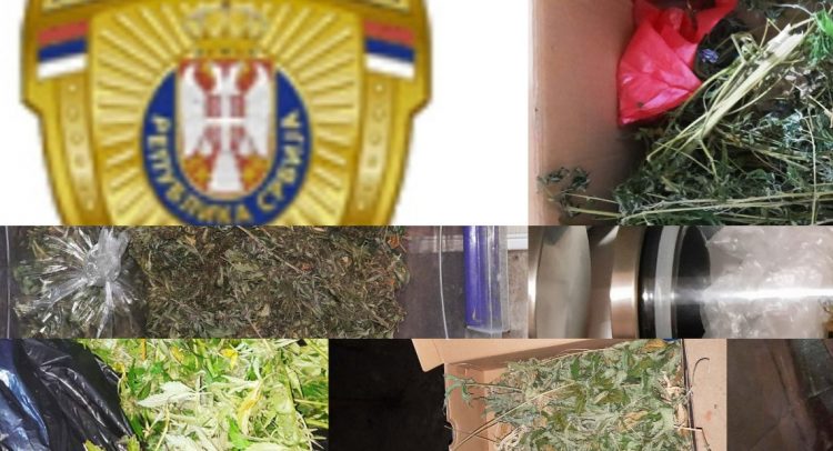 Ovo je noćas zaplenjeno u Kragujevcu!