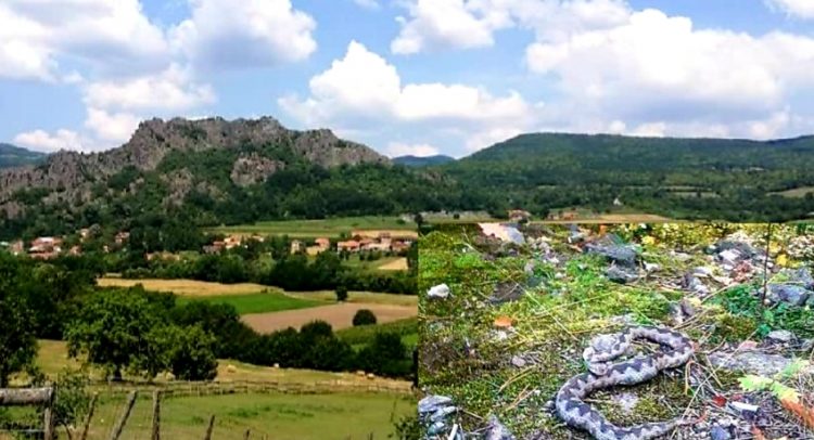 Zmije u oktobru „najavile“- zemljotrese!