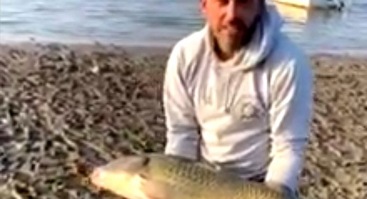 Svaka čast majstore! Vratio kapitalca u Gružansko jezero )