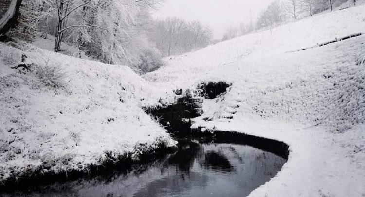 Zimska idila na Rudniku danas (foto + video )