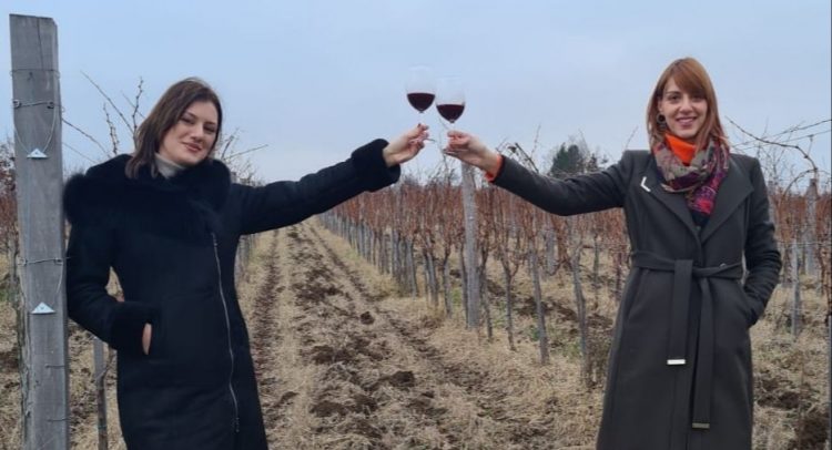 Dve sestre iz Kragujevca iz Beča se vratile na selo i zasadile vinograd!