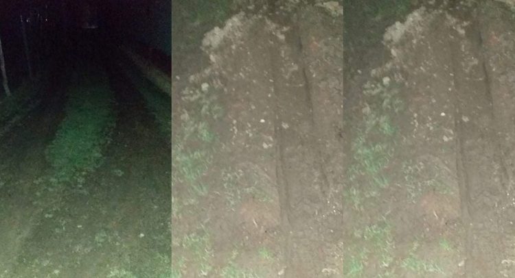 čitaoci javljaju: Zona sumraka i blata na dva kilometra od Kragujevca