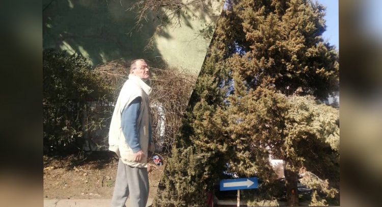 Neko je naftom uništio neprocenjiv čempres u kragujevačkoj Bresnici!