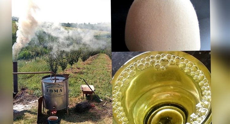 Ovo sigurno niste znali: u Šumadiji rakiju pročišćavaju kroz šiptarsko keče!