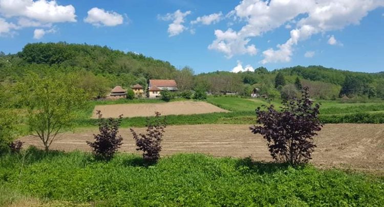Stiglo nam je pravo proleće u Šumadiju! danas 18 stepeni!
