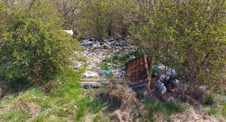 „elitna“ deponija u kragujevačkim Šumaricama- niču i nove…