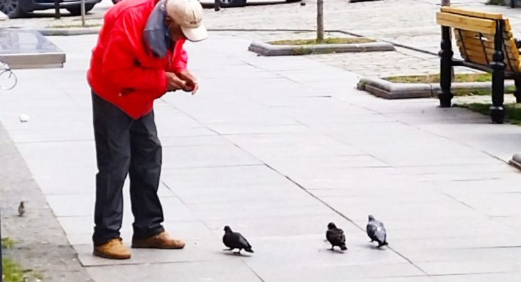 Mića Češalj deli koru hleba sa golubovima. Kaže „da oni ne stare“!