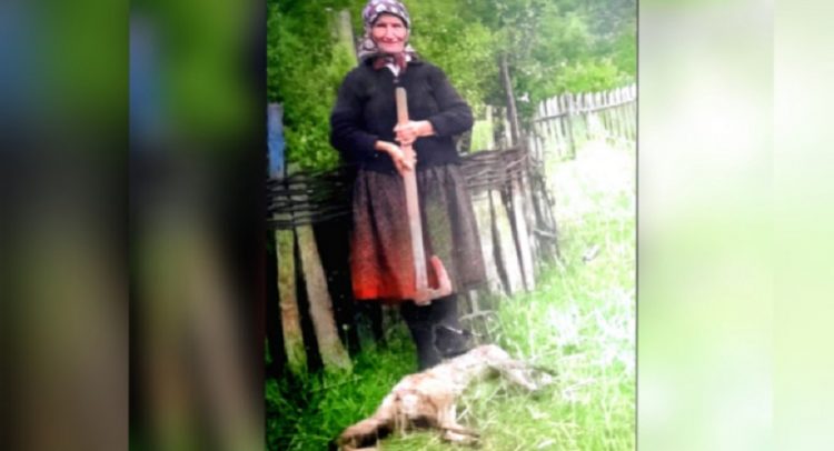 ŠUMADIJA koja nestaje: Mileva iz Pajsijevića sama je na planini ubijala lisice!