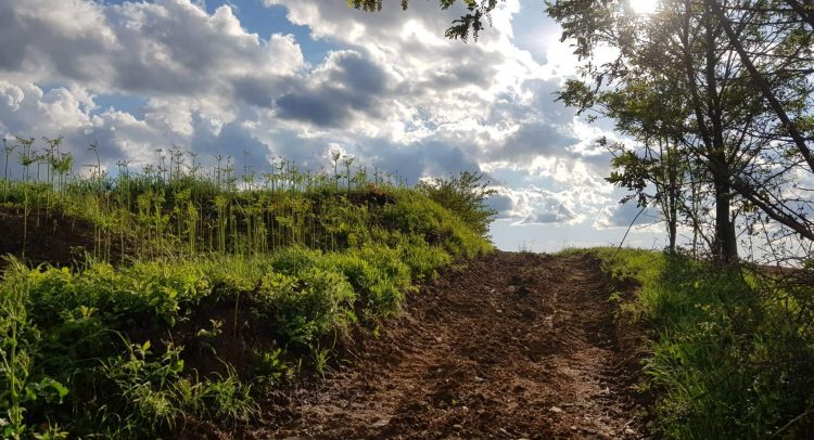 prognoza za danas: sunce, oblaci i pljuskovi..