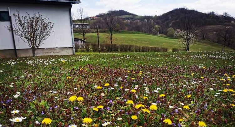 Sunce i oblaci nad Šumadijom. U Kragujevcu do 22 stepena!