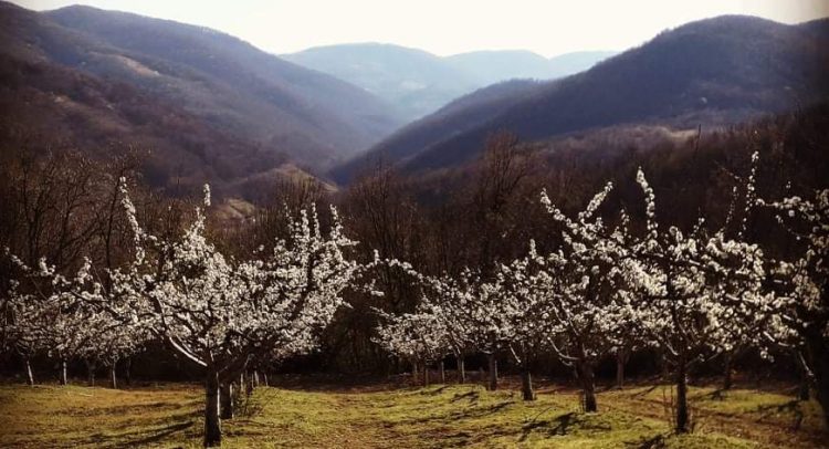 Stižu velike promene danas! Sunce smenjuje svežije vreme