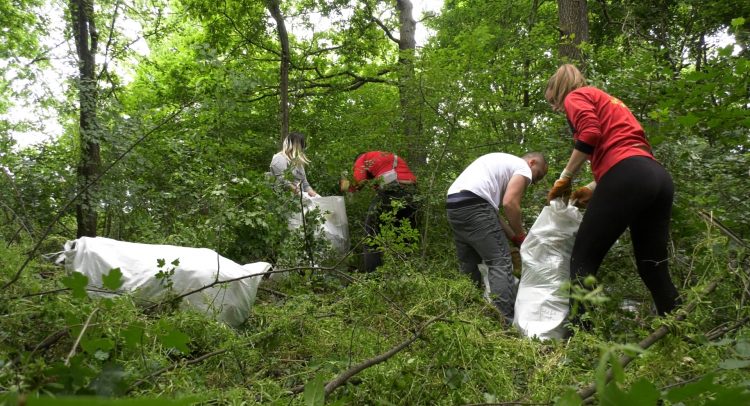Zavrni rukave! Aktivizmom do čistog Kragujevca. Bravo za ove ljude
