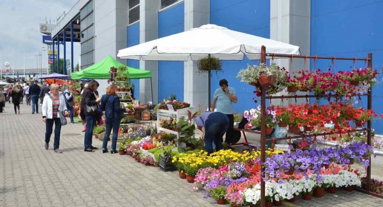 Sajam hortikulture u Kragujevcu od 27. do 30. maja!
