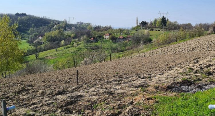 Na Markovdan se ne radi u njivi! Ovo su i ostala verovanja za današnji praznik