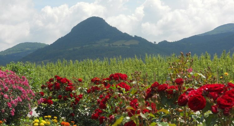 Sve toplije, pa opet pljuskovi.. Danas u Šumadiji i Kragujevcu do 21 stepen!