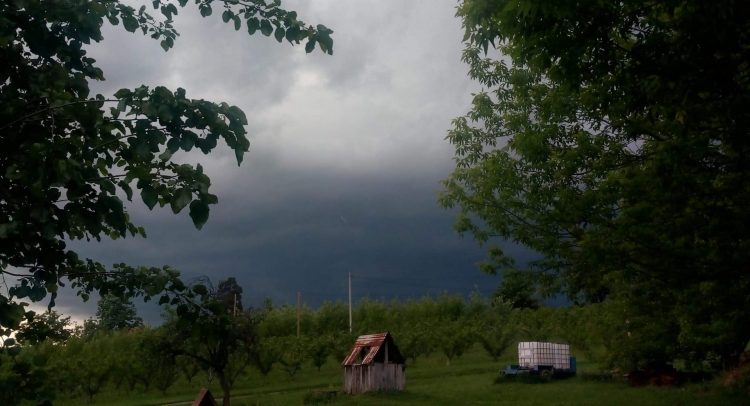 danas jesen u Kragujevcu i Šumadiji. Po prognozi bez nepogoda, samo do 14 stepeni!