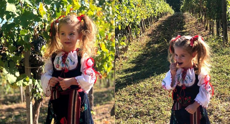 Sedmi festival šumadijskih vina u Topoli -danas i sutra!