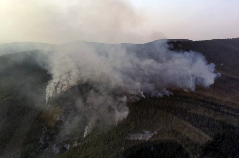 GORI 150 hektara šume na Zlatiboru- gase i vatrogasci iz Kragujevca (VIDEO)