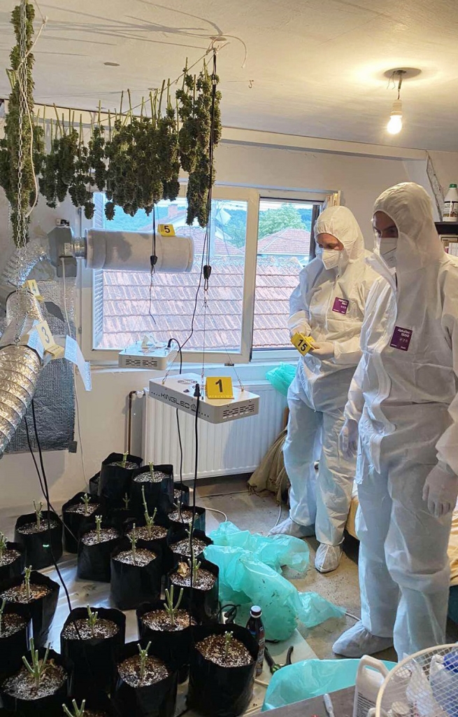 Otkrivena laboratorija za proizvodnju marihuane (FOTO)
