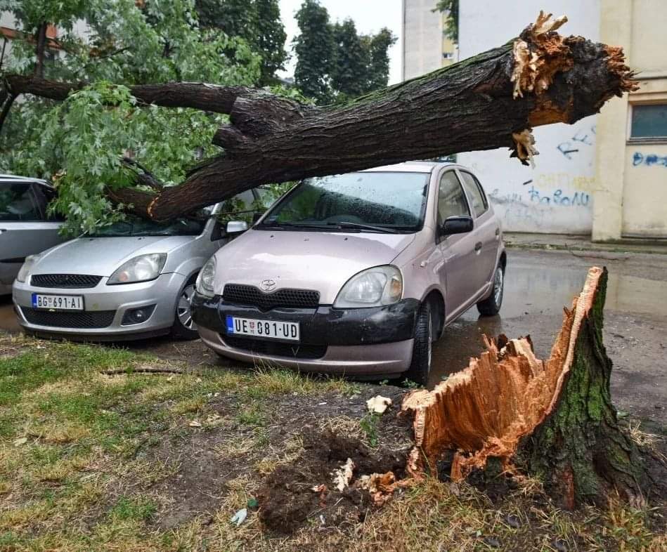 GRADONAČELNIK OBIŠAO POSLE NEVREMENA NAJKRITIČNIJE TAČKE