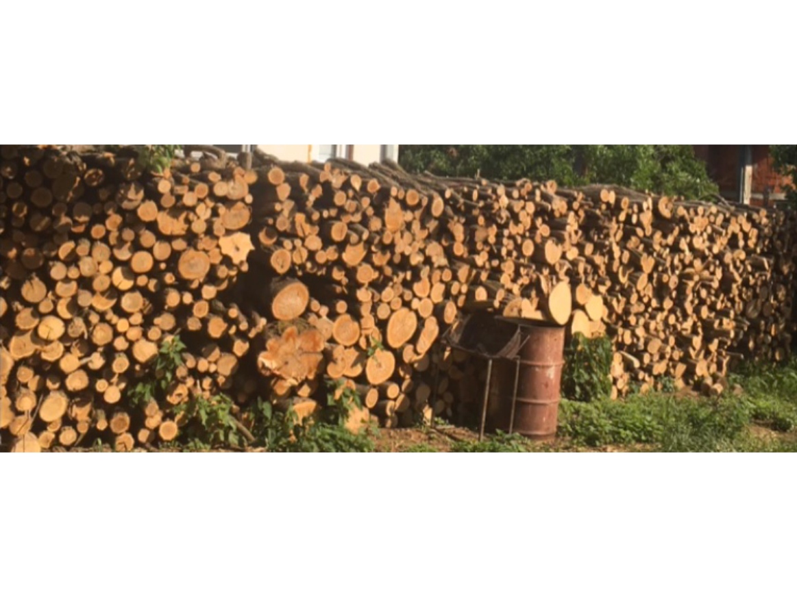 OD SJAJA DO OČAJA: Kragujevčanin gradio ZGRADE a sad KRADE DRVA. NEVEROVATNO. ( FOTO )