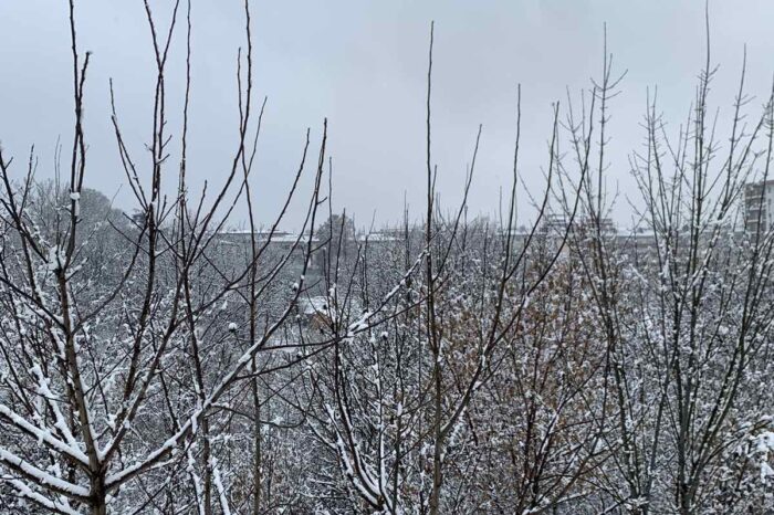 Oblačno i sneg u većini krajeva. Pao sneg i u ŠUMADIJI. Evo koja je maksimalna dnevna temperatura u Srbiji.
