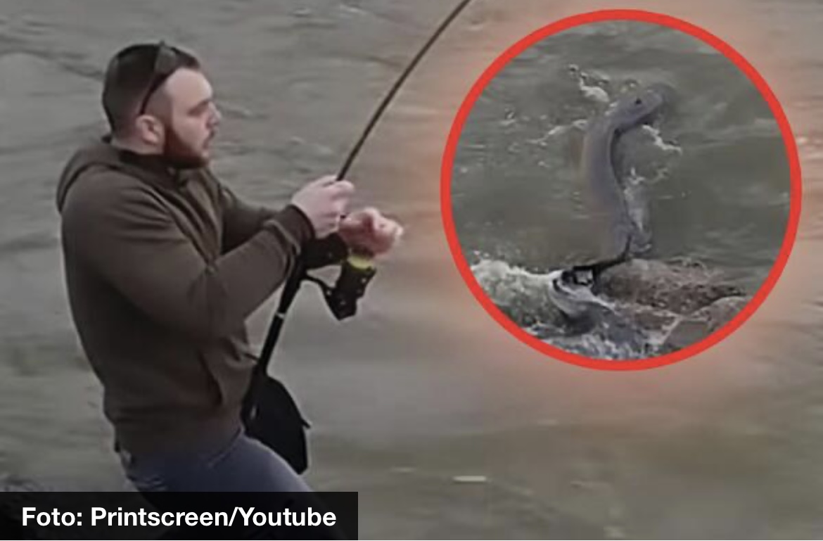HIT SNIMAK IZ SVILAJNCA! Pogledajte kakvu grdosiju je mladi pecaroš izvukao iz Morave: Lele, lele, većeg nisam video, kolka mrcina