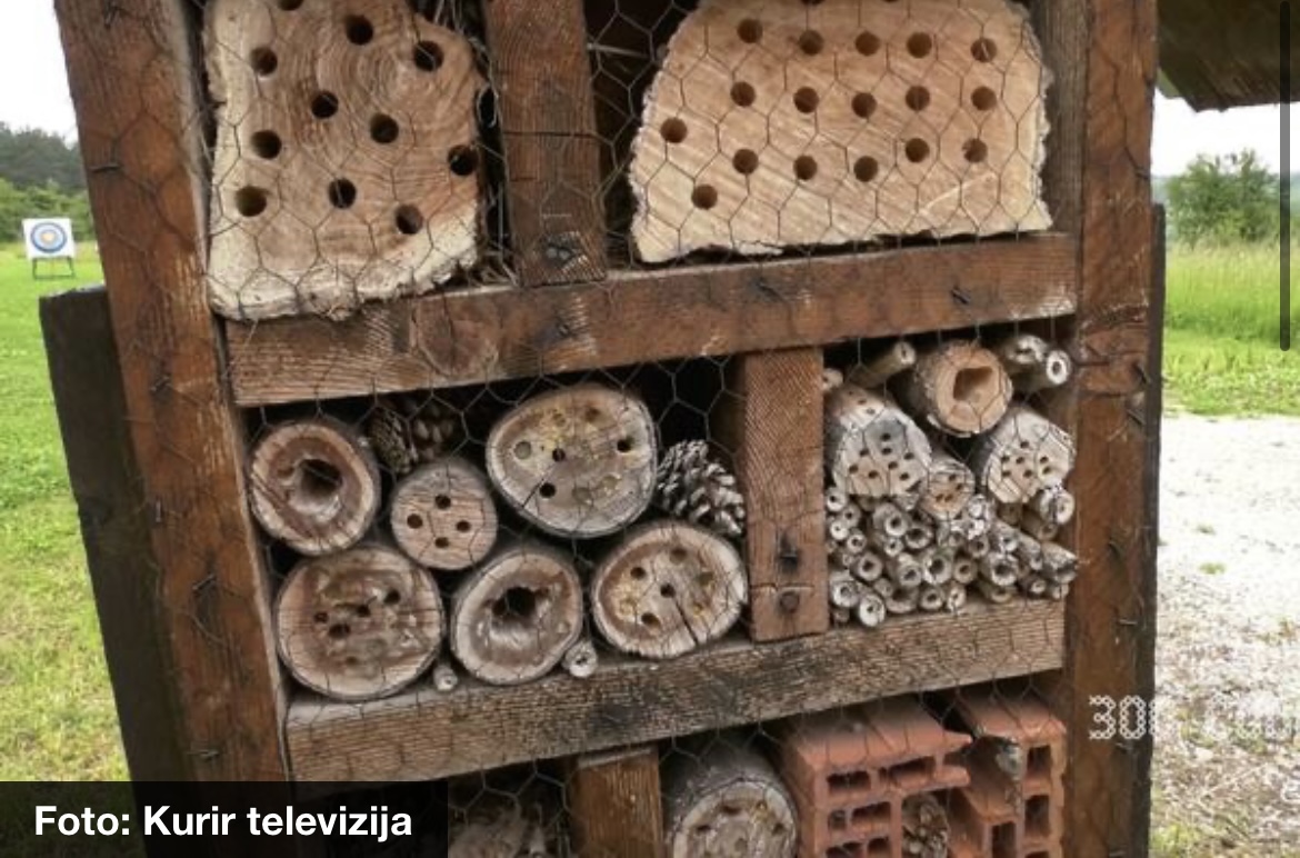 ČUDO U KRAGUJEVCU: OTVOREN HOTEL ZA INSEKTE! „Gosti“ biraju pansion ili polupansion, ali smeštaj nije besplatan EVO KAKO PLAĆAJU