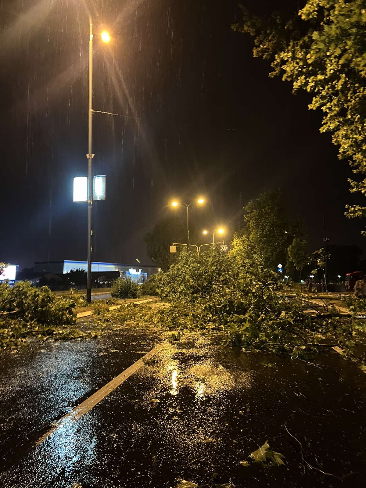 (FOTO GALERIJA) UŽASNE POSLEDICE NEVREMENA: Kragujevac NEPROHODAN. Drveće na SVE STRANE. UNIŠTENA VOZILA.
