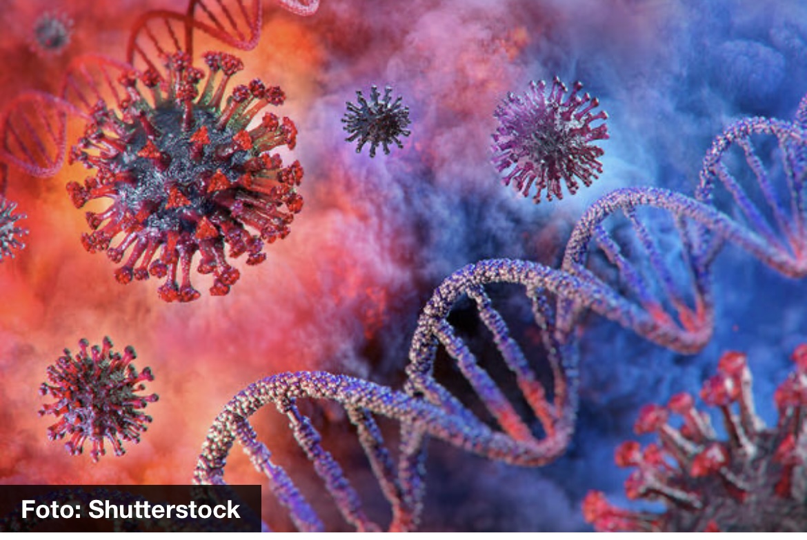 ZA NEDELJU DANA NA KORONU POZITIVNO 3.684 OSOBA: Bez preminulih i hospitalizovanih