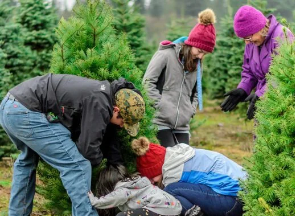 U Spomen parku Šumarice u Kragujevcu od juče postoji Park novogodišnjih jelki.