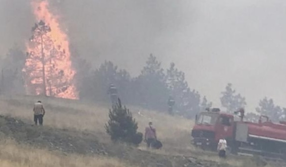 Spaljivanje trave i niskog rastinja može vas skupo koštati: Kazne za plamen na otvorenom prostoru i do milion dinara