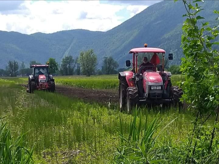 KONKURS ZA ZLATNI PETAO: Izbor za najbolje u poljoprivredi Srbije, prvi put bira se i najbolja žena u agraru!