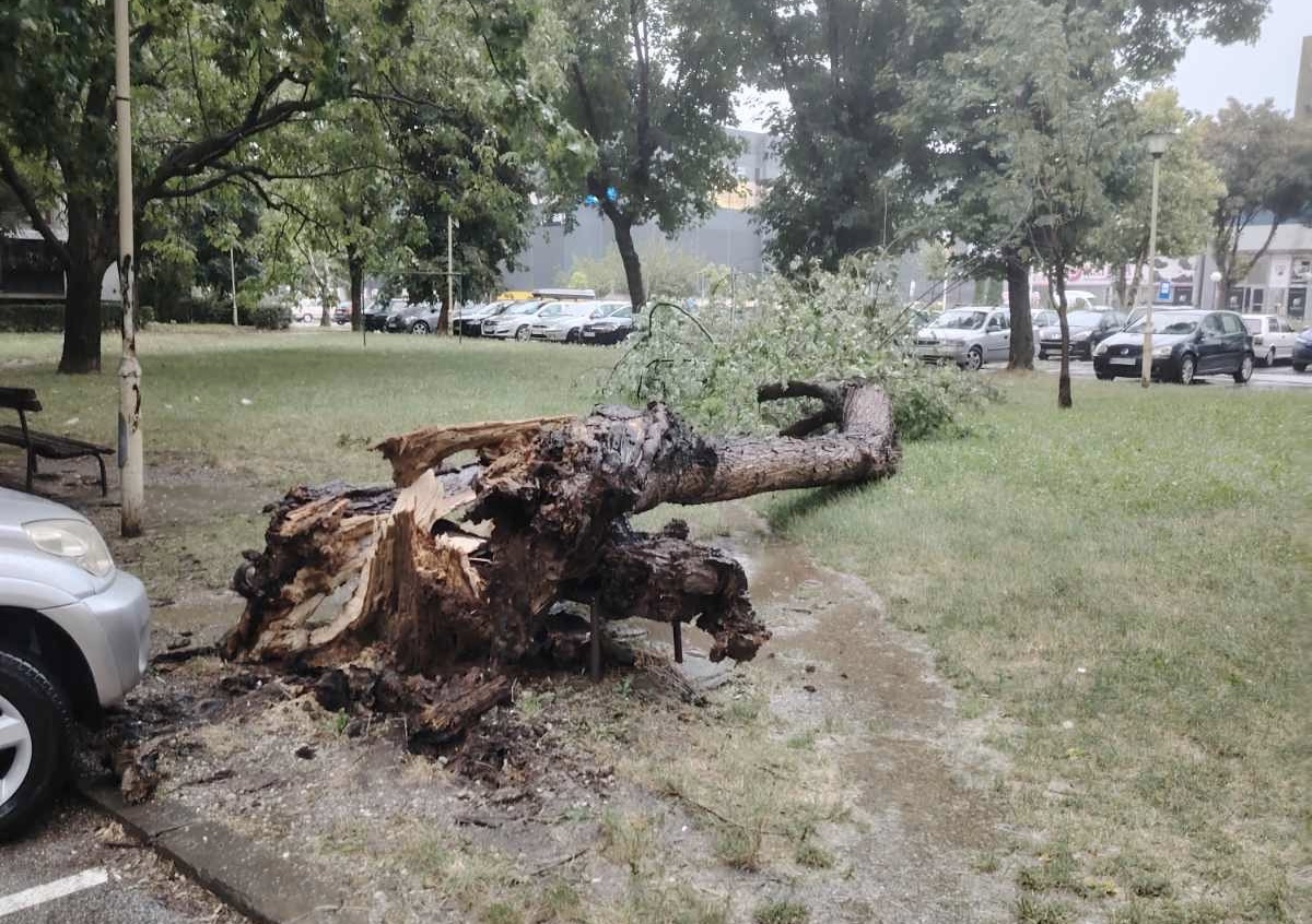 JAKO NEVREME U KRAGUJEVCU Poplavljene ulice u centru grada, vetar ČUPAO DRVEĆE (FOTO)