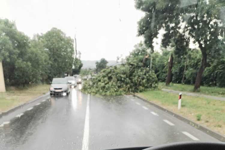 JEDNA OSOBA POVREĐENA U NEVREMENU KOD KRAGUJEVCA: Vetar lomio stabla, dizao krovove, pričinjena velika šteta (FOTO)
