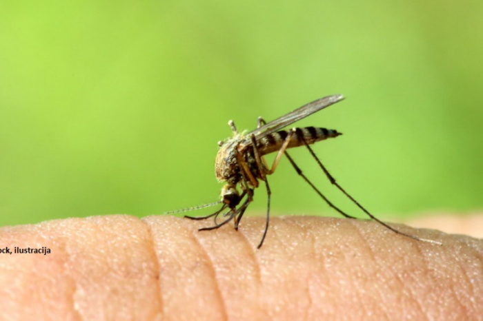 PČELARI OPREZ: Tretman suzbijanja komaraca sutra