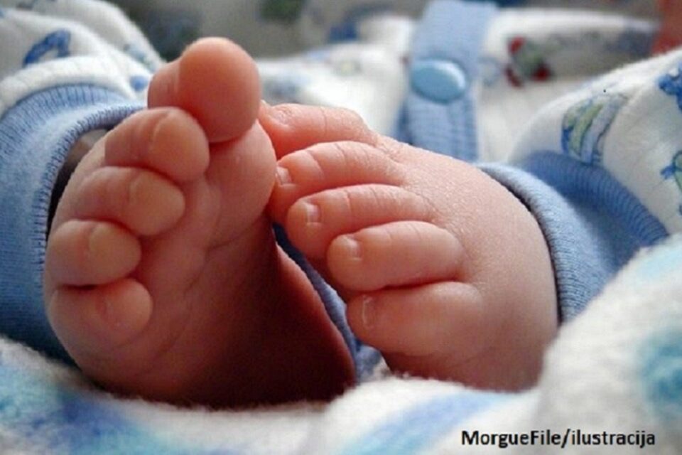 Bebi bum u Kragujevcu: Za jedan dan rođeno 10 beba