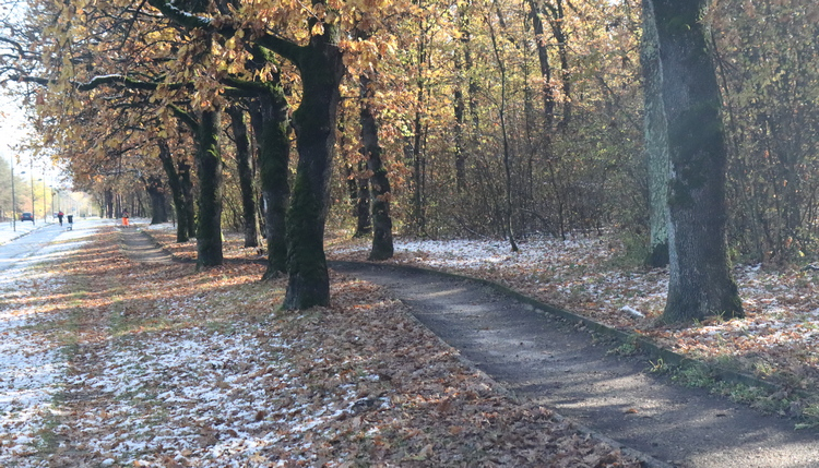 Počela rekonstrukcija trim staze u Šumaricama