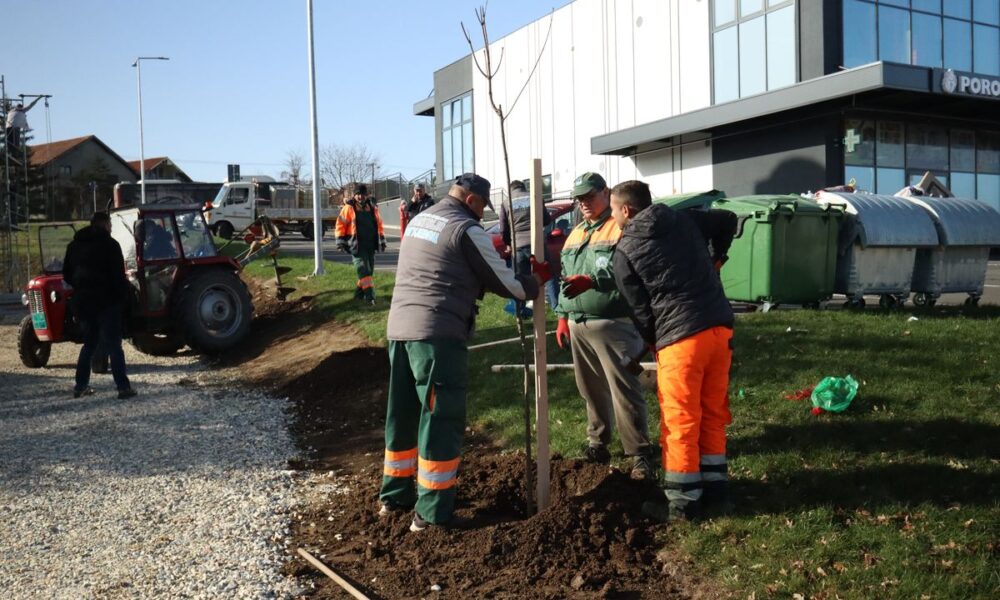 Nastavlja se ozelenjavanje Kragujevca