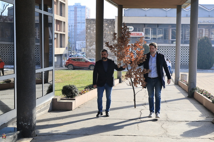 Gradonačelnik Nikola Dašić uneo badnjak u zgradu Gradske uprave