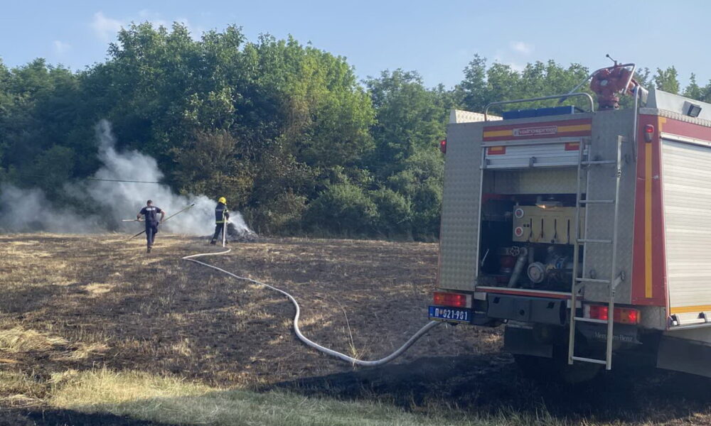 Požar u Šumaricama brzo lokalizovan zahvaljujući brzoj reakciji vatrogasaca