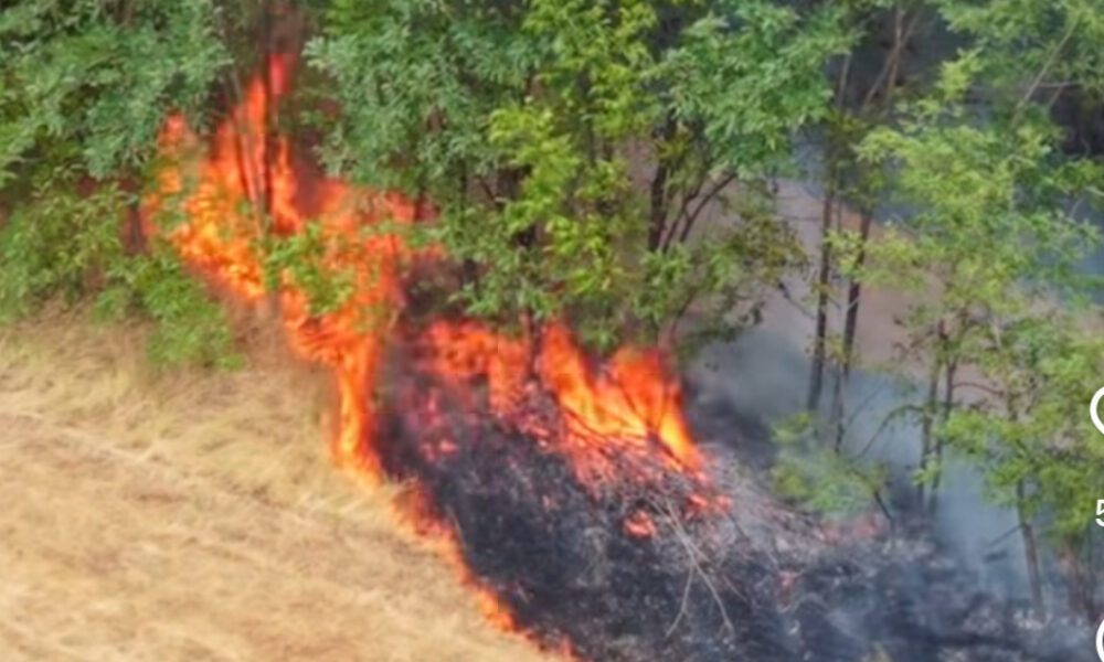 POŽAR U DESIMIROVCU KOD KRAGUJEVCA: Vatra se brzo širi, meštani uznemireni